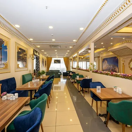 梅尔泰尔星际酒店 4* 伊斯坦布尔