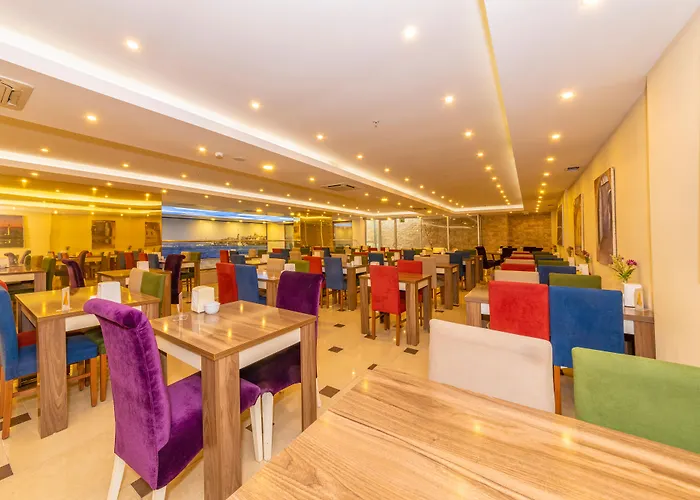 Harmony Merter & Isztambul